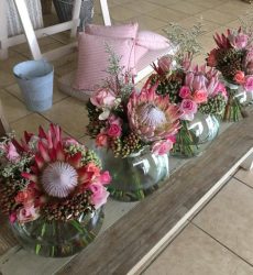 Nature-inspired range