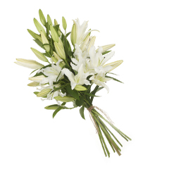 Naturally Tied Bunch - R400