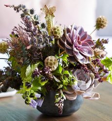 Special Occasion Collection