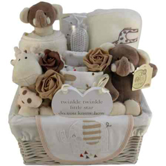 Gender - boy or girl...