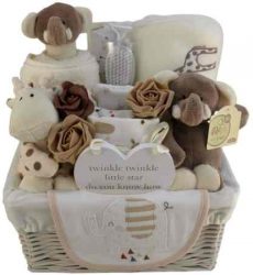 New Arrival Hamper